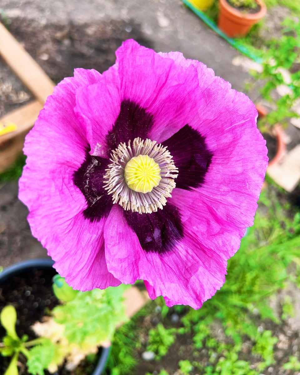 7C333BC7-5AFD-4177-8309-