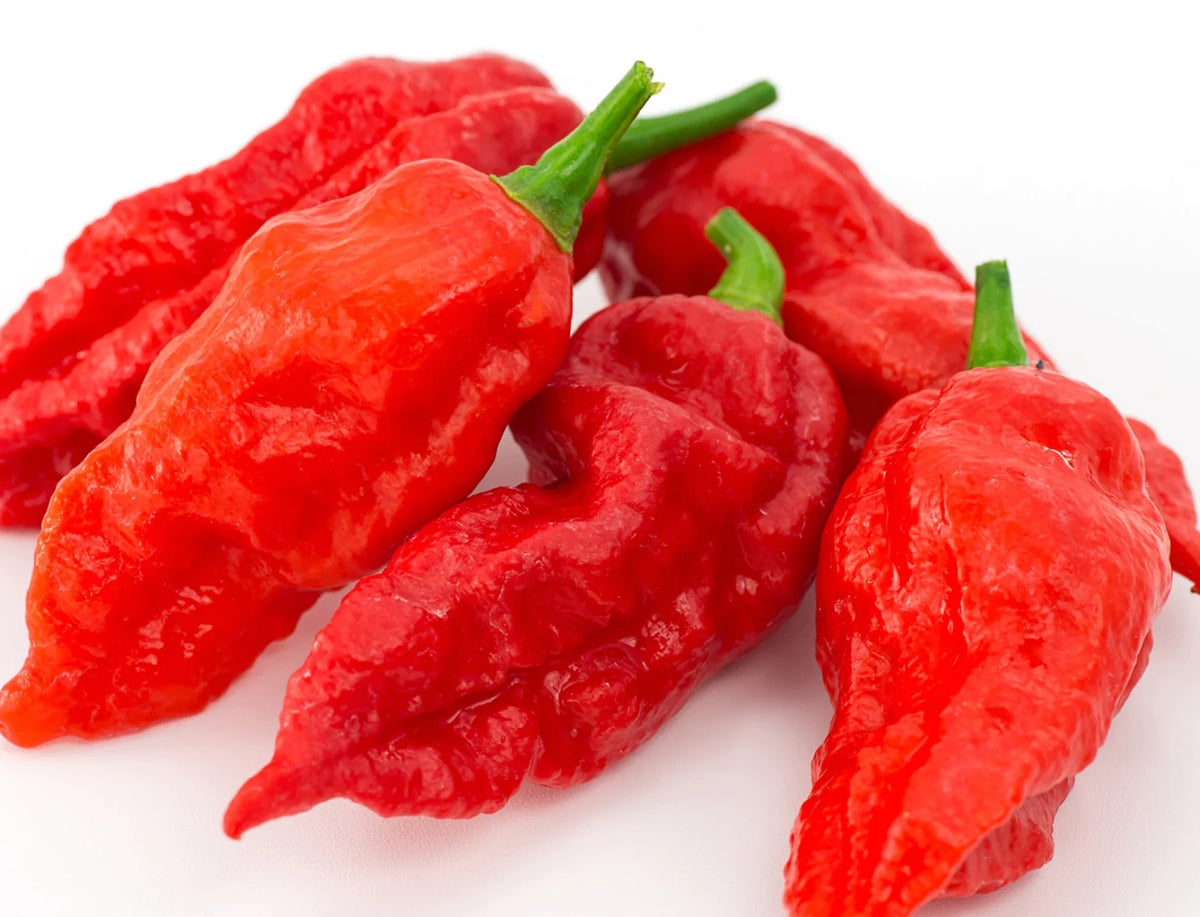Pepper - Red Cayenne Chili Pepper (Capsicum annuum) Cayenne Hot