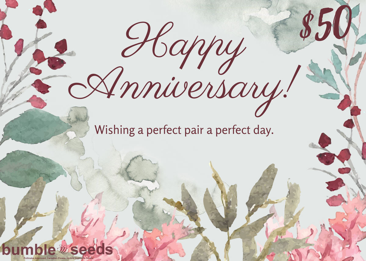 Happy Anniversary Gift Card Bumbleseeds happy-anniversary-gift-card-bumbleseeds