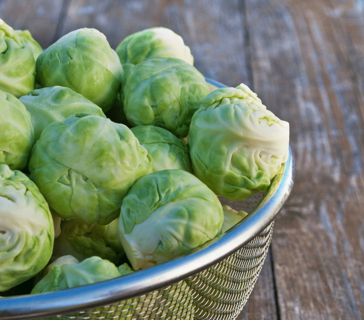 Brussels Sprouts Catskill (Brassica oleracea) Non GMO, Open Pollin