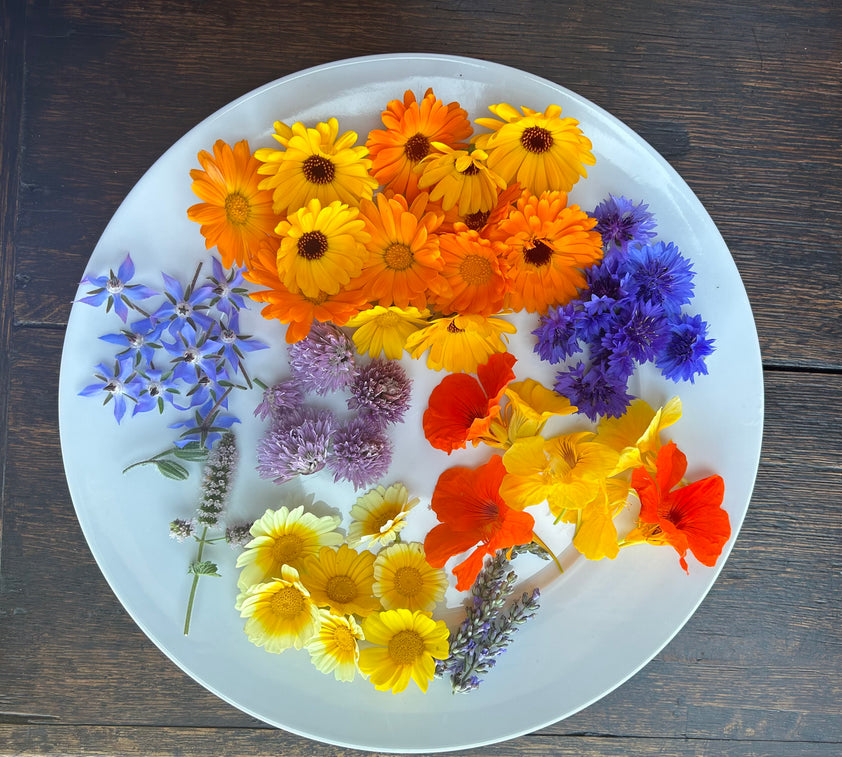 Edible Flower Mix - Culinary Edible Fleurs Floral Mix - Non GMO Organi ...