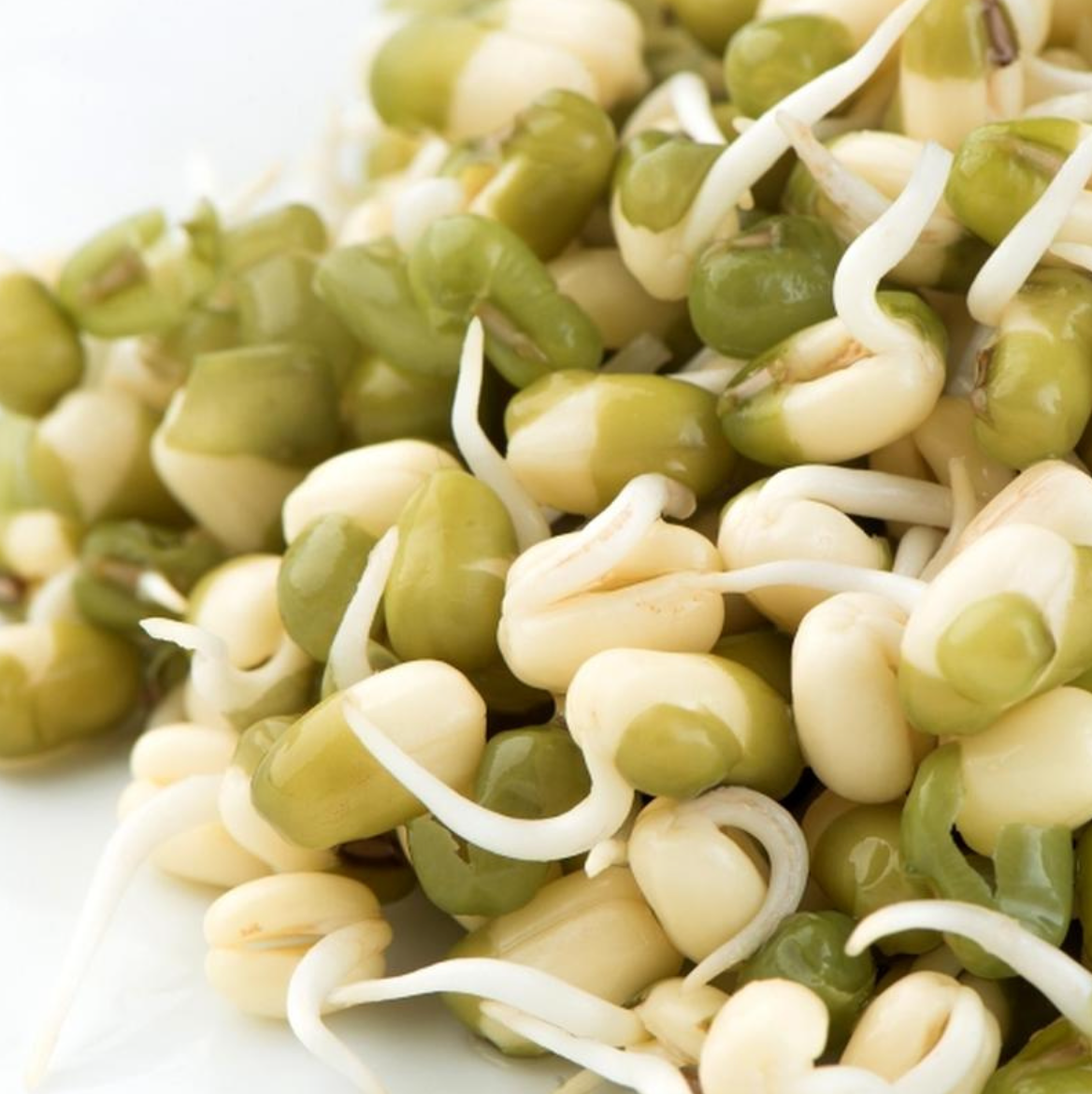 Mung bean