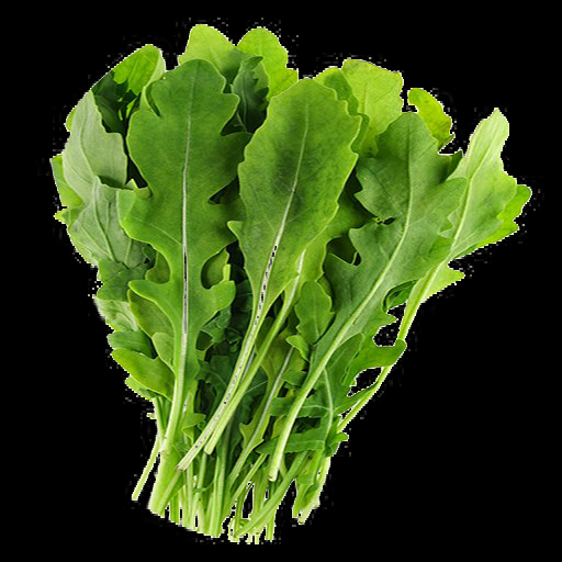Arugula – (Eruca vesicaria sativa) Vegetable Herb - Non GMO Vege