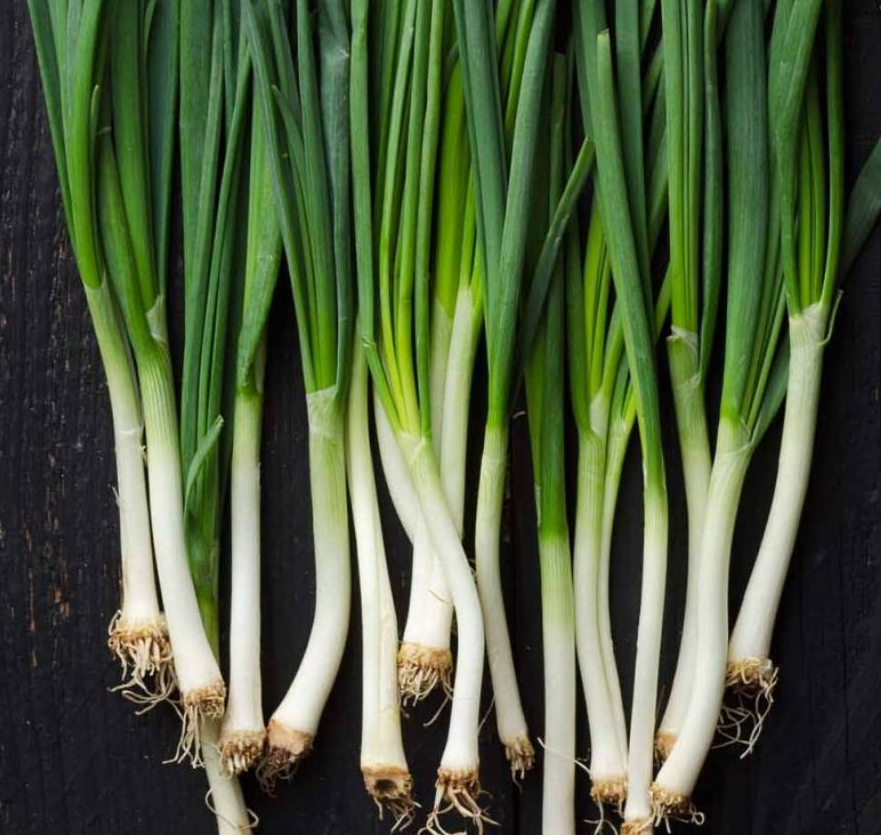 Onion - Bunching Onions - Scallions (Allium Fistulosum ...