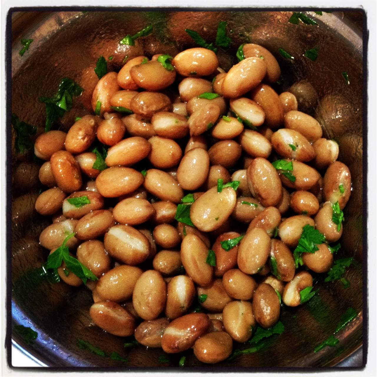 Italian Roma Bush Bean - Bush Bean - Romano (Phaseolus vulgaris) Organic Roma Bush Bean ...
