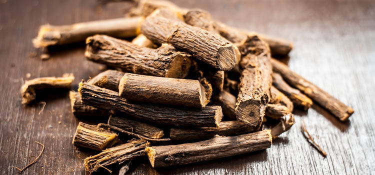 liquorice plant seeds Wild Licorice (Glycyrrhiza lepidota Pursh, Fabaceae) American Licorice – Bumbleseeds